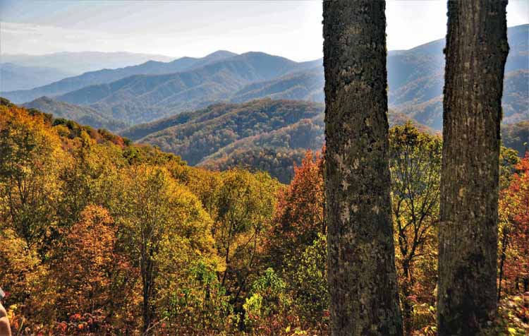 mountain vista